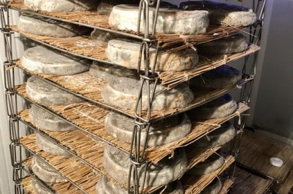Ferme pour la production de fromage Saint-Nectaire fermier AOP 