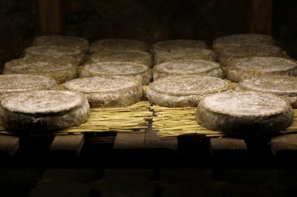 Producteur pour la vente de fromages en grande quantité 