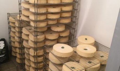 Acheter du fromage Saint-Nectaire chez le producteur 